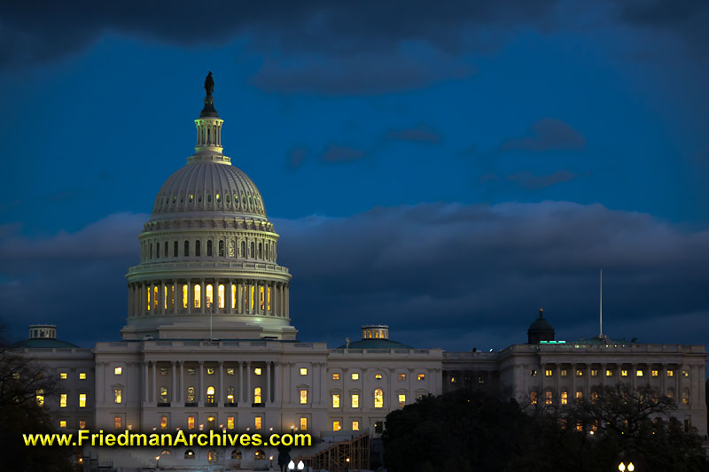 congress,senators,house,government,U.S.,united states,icon,washington,D.C.,lawmakers,dusk,dawn,blue,sky,trees,branches,